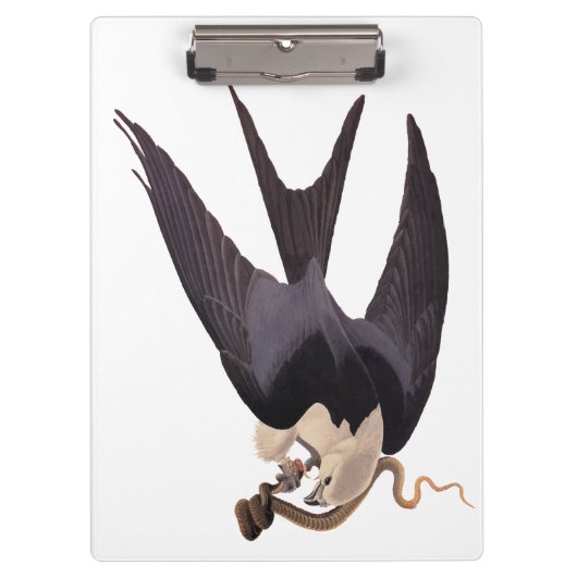 Slik Tailed Hawk door met Snake Audubon Klembord (Voorkant)