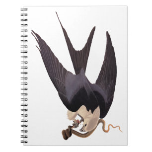 Slik Tailed Hawk door met Snake  Audubon Notitieboek