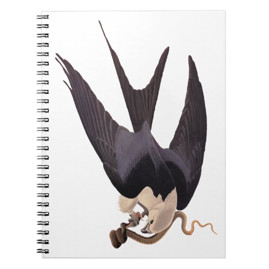 Slik Tailed Hawk door met Snake  Audubon Notitieboek (Voorkant)