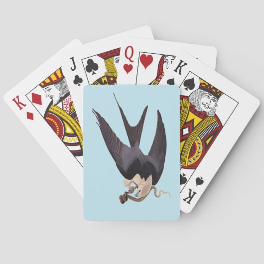 Slik Tailed Hawk door met Snake Audubon Pokerkaarten (Achterkant)