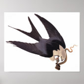 Slik Tailed Hawk door met Snake  Audubon Poster (Voorkant)