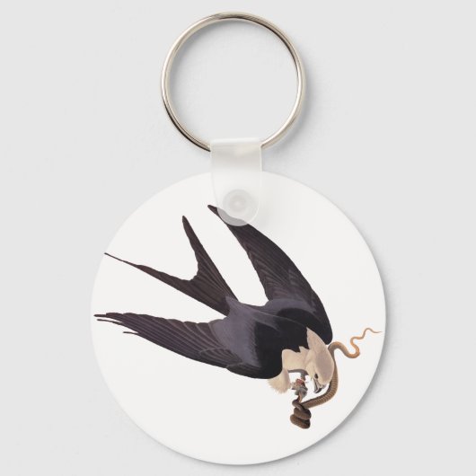Slik Tailed Hawk door met Snake Audubon Sleutelhanger (Voorkant)