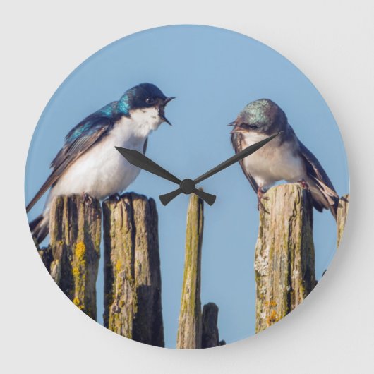Slik van mannetjes en vrouwen grote klok (Voorkant)