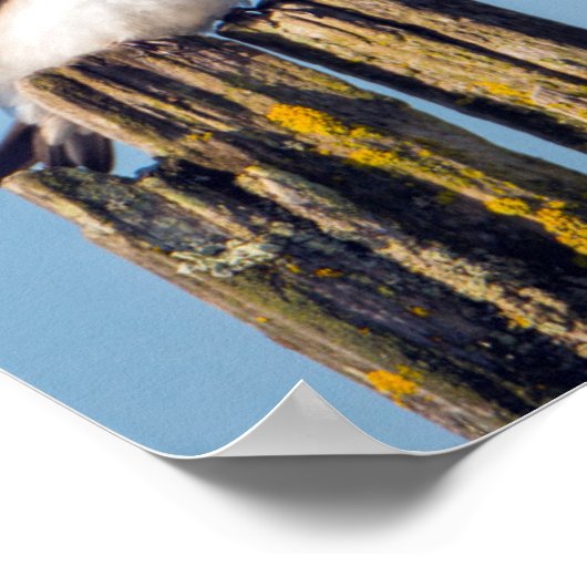 Slik van mannetjes en vrouwen poster (Hoek)