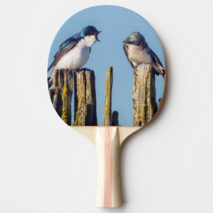 Slik van mannetjes en vrouwen tafeltennisbatje