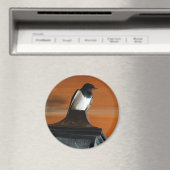 Slik Vogel op Lamp Foto Ronde Magneet (Insitu (Vaatwasser))