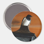 Slik Vogel op Lamp Foto Ronde Magneet (Voorkant / Achterkant)