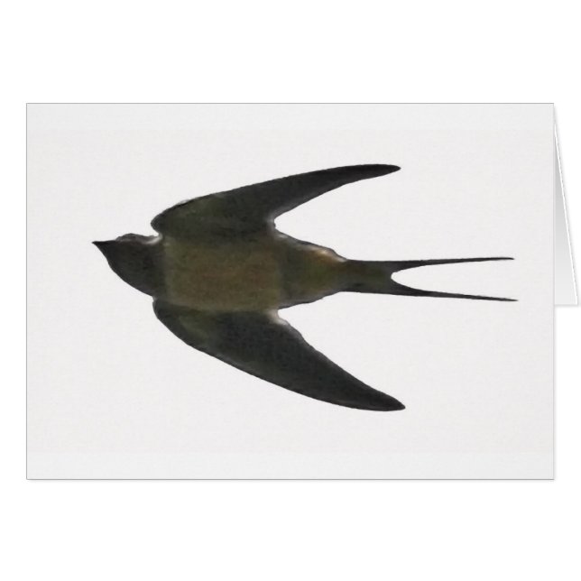 slikken (Voorkant Horizontaal)