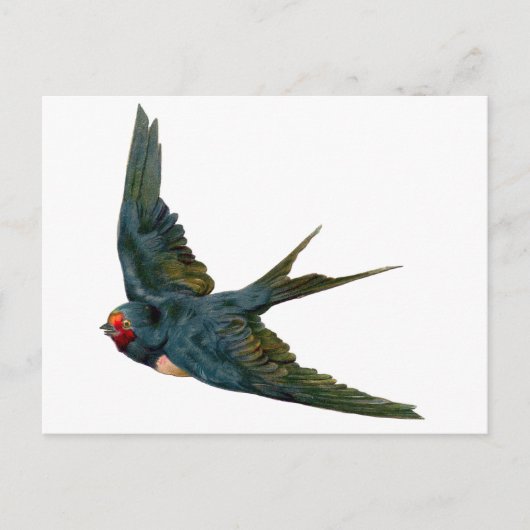 slikken briefkaart (Voorkant)