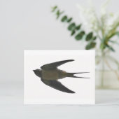 slikken briefkaart (Staand voorkant)