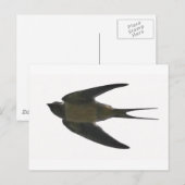 slikken briefkaart (Voorkant / Achterkant)