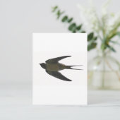 slikken briefkaart (Staand voorkant)