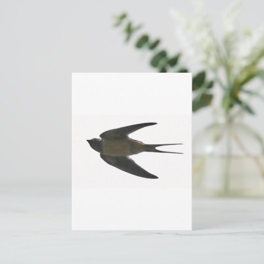 slikken briefkaart (Staand voorkant)