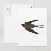 slikken briefkaart (Voorkant / Achterkant)