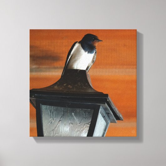 Slikken op een Lamp Foto Single Print Canvas (Voorkant)