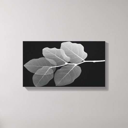 Slim Framed Gespannen Canvasprint - XRay Nieuwe Kn Canvas Afdruk (Voorkant)