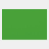 Slim-groene vaste kleur inpakpapier vel (Voorkant 2)