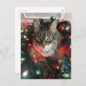 Slim Kat Holiday Wreath Feestdagenkaart (Voorkant / Achterkant)