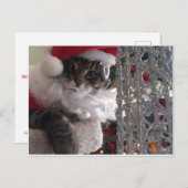 Slim Kat Santa en de glitterboom Feestdagenkaart (Voorkant / Achterkant)