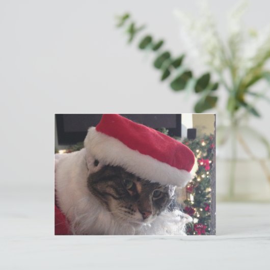 Slim Kat Santa Kaart (Staand voorkant)