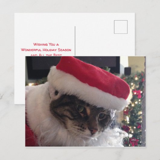 Slim Kat Santa Kaart (Voorkant / Achterkant)