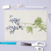 Slim Larkspur van Mary Vaux Walcott Tissuepapier (Craft)