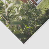 Slim ogende rode schuur genesteld in een veld van  tissuepapier (Detail)