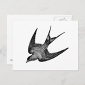 -slimexperatie - 1800 Retro-vogels Briefkaart (Voorkant / Achterkant)