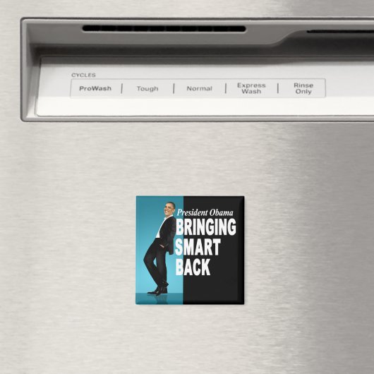 Slimme backmagneet magneet (Insitu (Vaatwasser))