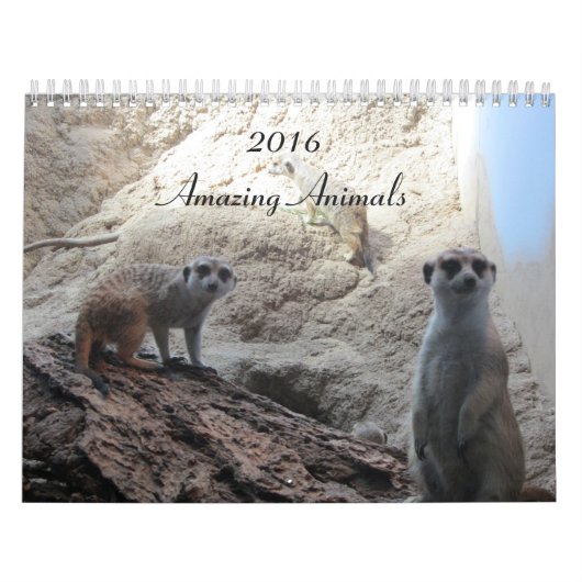 Slimme Dieren Kalender (Hoes)