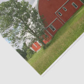 Slimme Grote Rood Barn in een Grijsveld Tissuepapier (Detail)