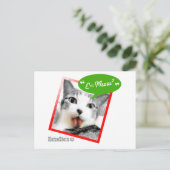 slimme kat briefkaart (Staand voorkant)