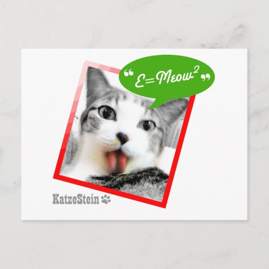 slimme kat briefkaart (Voorkant)