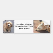 slimmer dan een eersteklas bumpersticker (Voorkant)