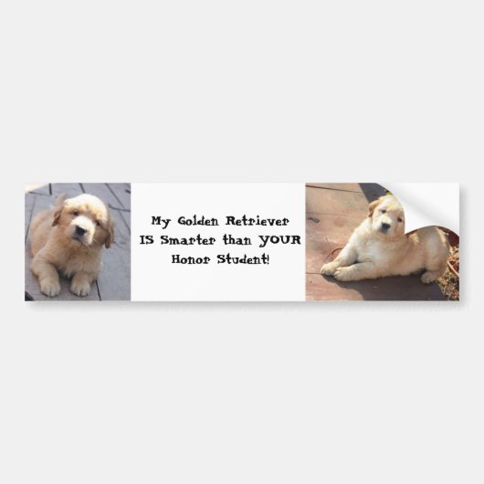 slimmer dan een eersteklas bumpersticker (Voorkant)