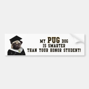 slimmer dan eer student Bumpersticker