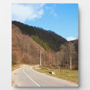 Slingerende Weg Door Het Bos – Wilde Natuur Roemen Fotoplaat