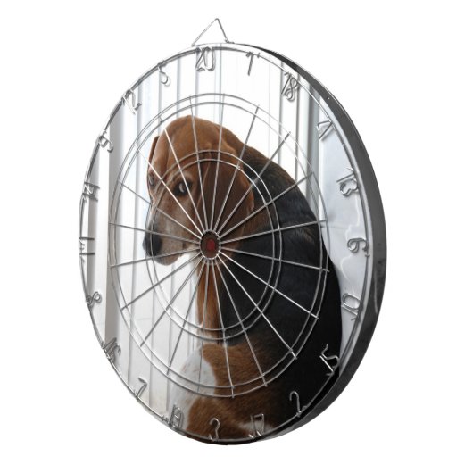 slingerhouding dartbord (Voorkant Rechts)