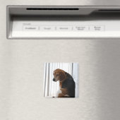 slingerhouding magneet (Insitu (Vaatwasser))