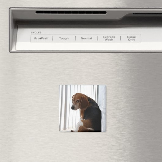 slingerhouding magneet (Insitu (Vaatwasser))