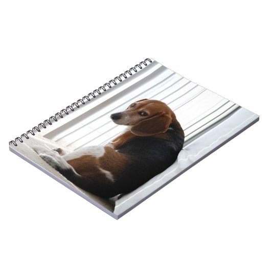 slingerhouding notitieboek (Linkerzijde)