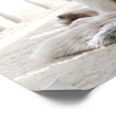 slingerhouding poster (Hoek)