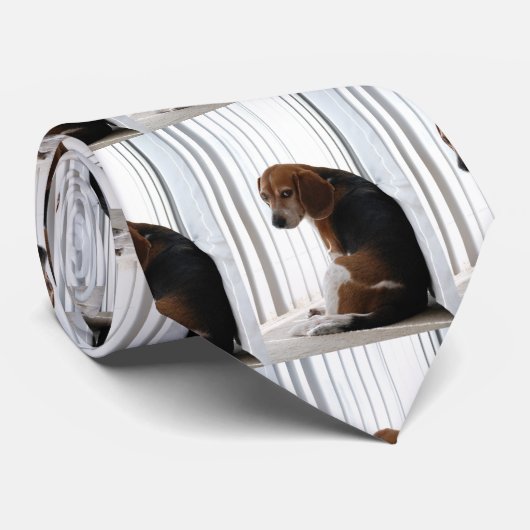 slingerhouding stropdas (Opgerold)