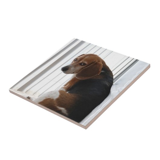 slingerhouding tegeltje (Zijkant)