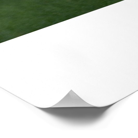 slinks poster (Hoek)