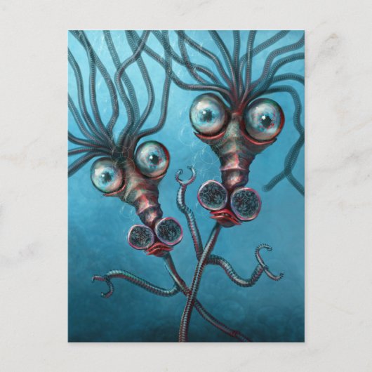 Slinky Seapaarden Briefkaart (Voorkant)