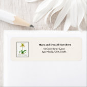 Slipper Orchid Etiket (Insitu)