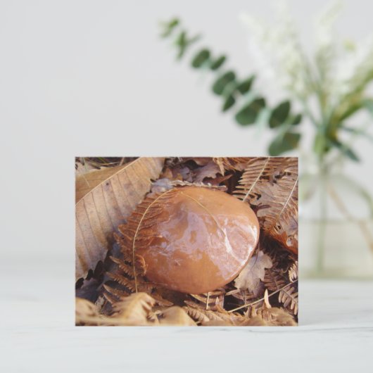 Slippery Jack Mushroom Briefkaart (Staand voorkant)