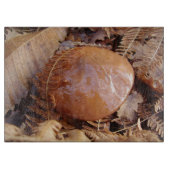 Slippery Jack Mushroom Glas Snijplank (Voorkant)