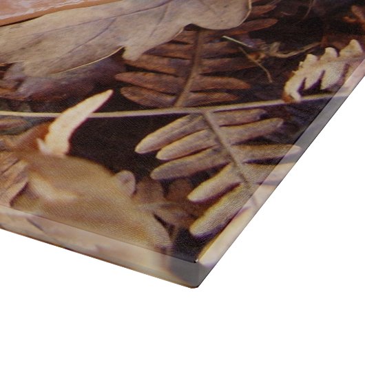 Slippery Jack Mushroom Glas Snijplank (Hoek)